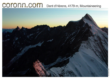coronn.com topos dent d´herens